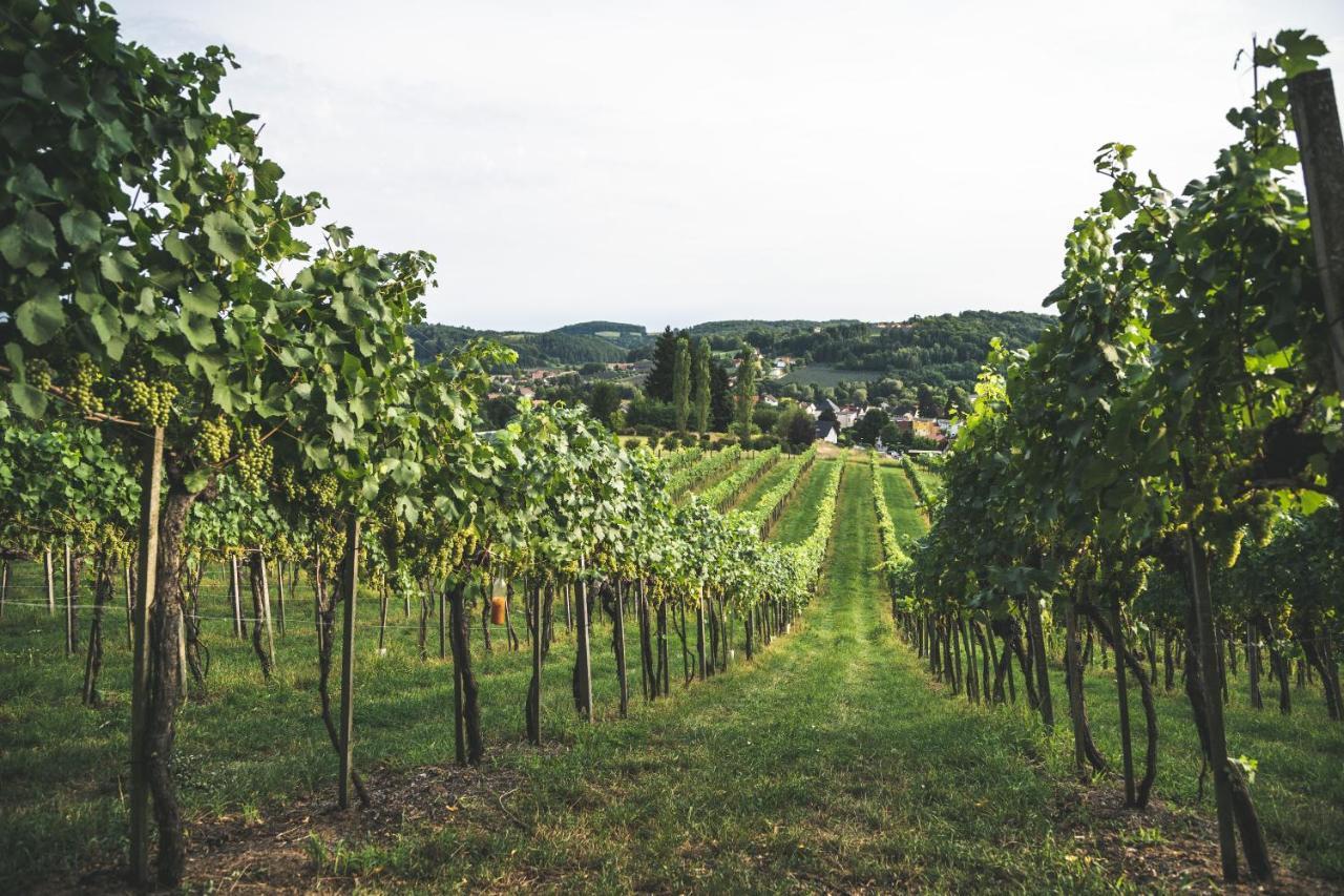 Wein & Gaestehof Erlacher Hartmannsdorf Bagian luar foto